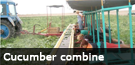 Belorussian scientists created cucumber combine